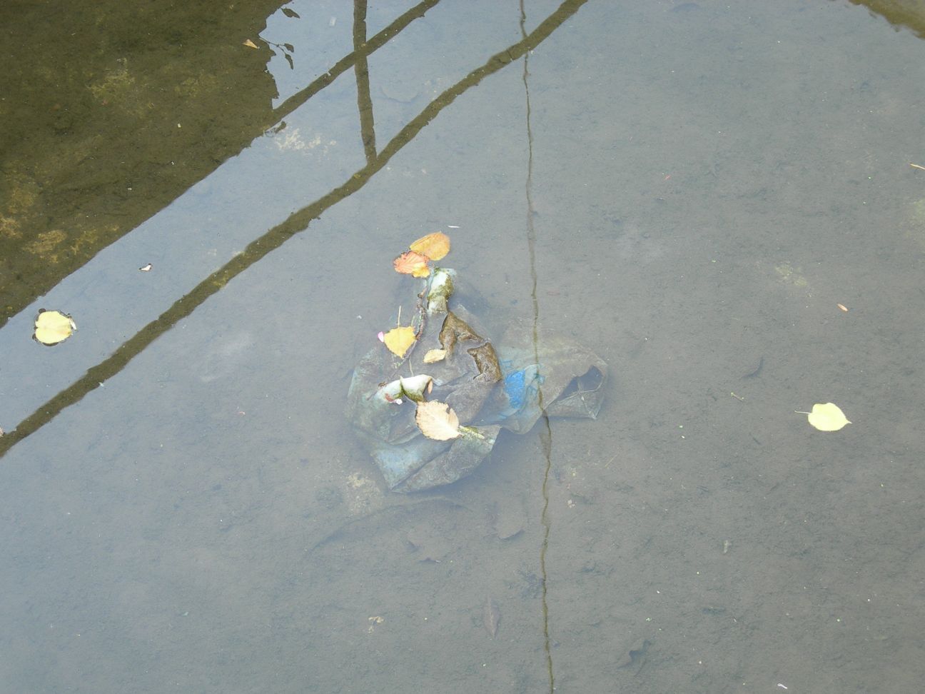 DSCN1061.JPG