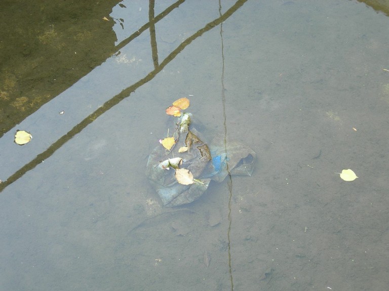 DSCN1061.JPG