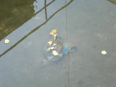 DSCN1061.JPG
