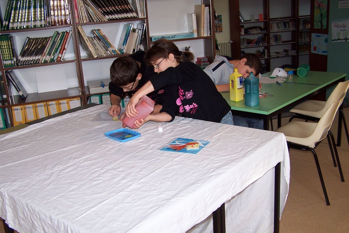 100_2830.JPG