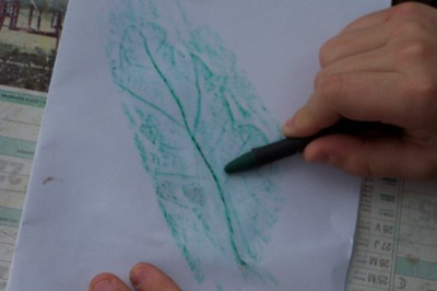 100_3164.JPG
