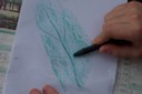 100_3164.JPG