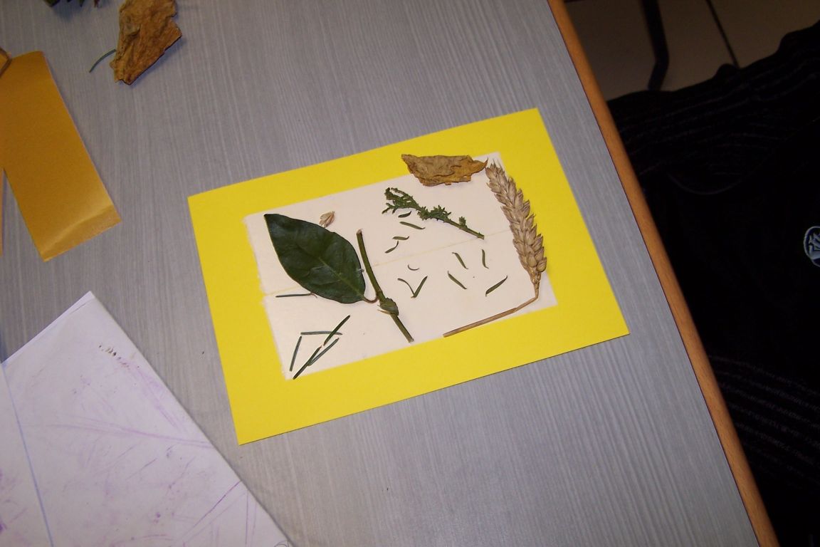 100_3173.JPG