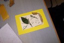 100_3173.JPG