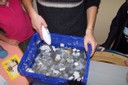 100_3184.JPG