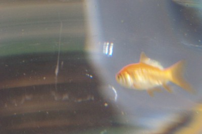 100_4683.JPG