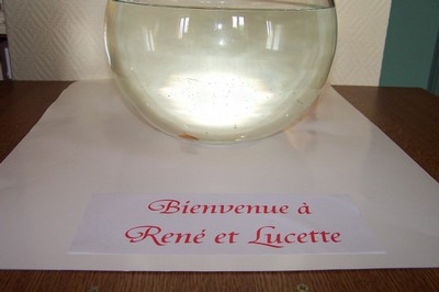 100_4686.JPG