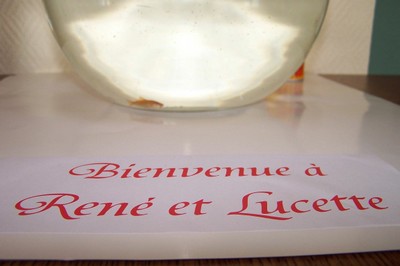 100_4687.JPG
