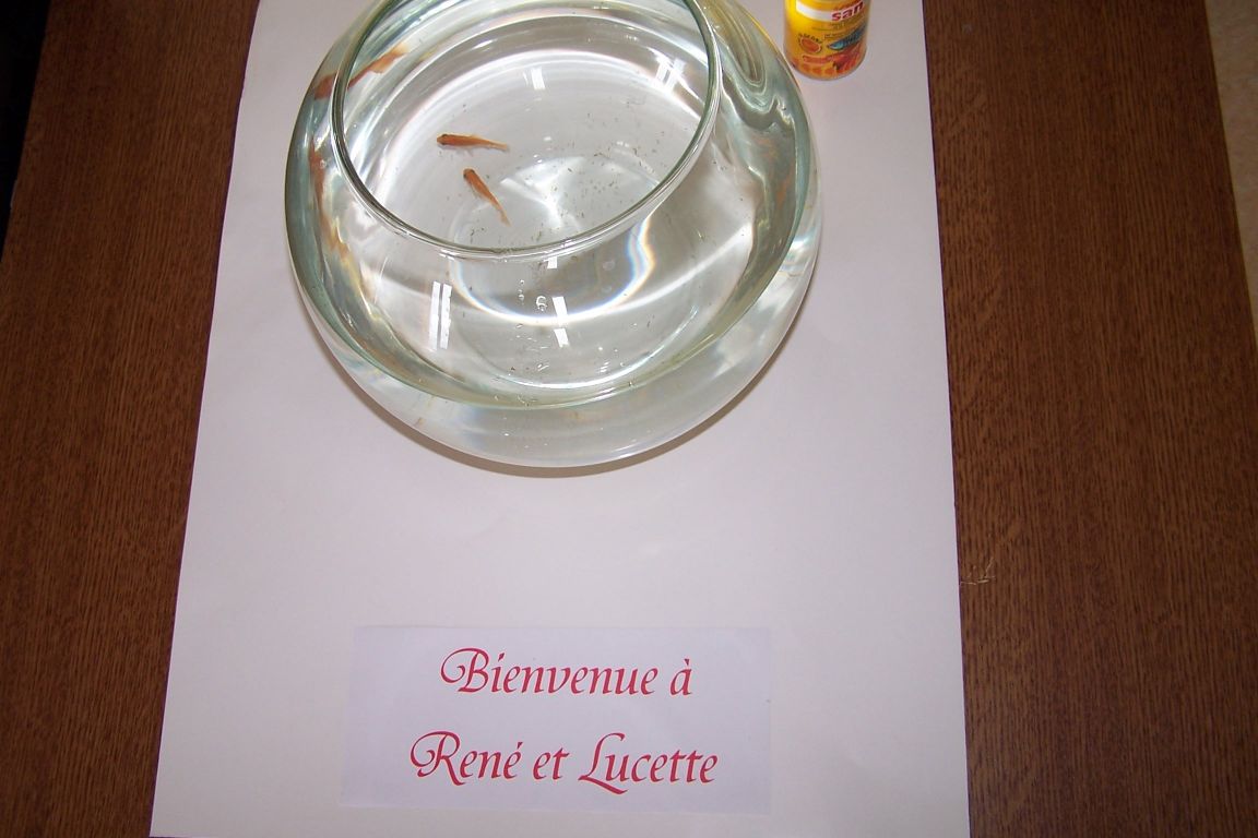 100_4688.JPG