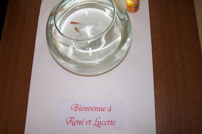 100_4688.JPG