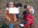 PS-MS-Foret Vouille (13).JPG