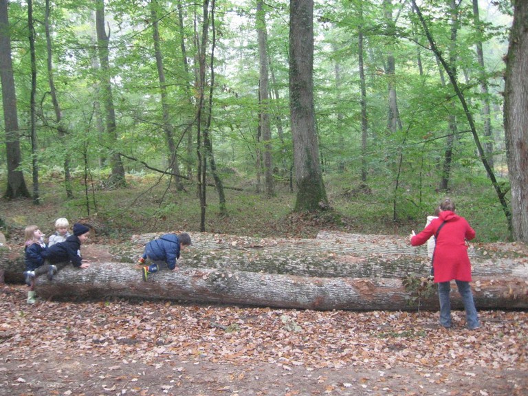 PS-MS-Foret Vouille (14).JPG