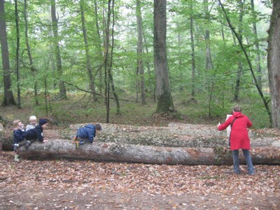 PS-MS-Foret Vouille (14).JPG