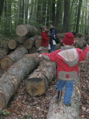 PS-MS-Foret Vouille (17).JPG