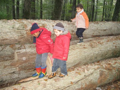 PS-MS-Foret Vouille (18).JPG