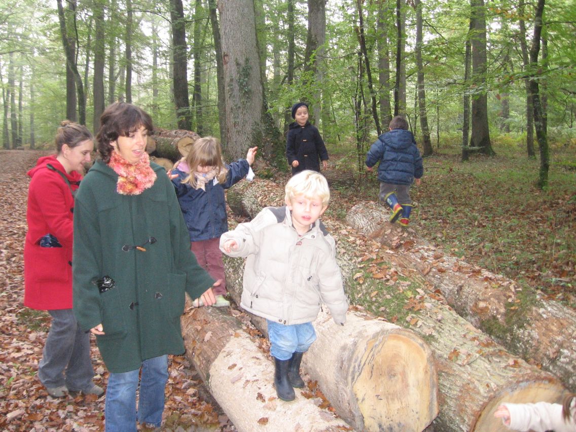 PS-MS-Foret Vouille (20).JPG