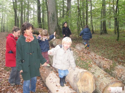 PS-MS-Foret Vouille (20).JPG