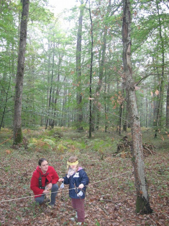 PS-MS-Foret Vouille (23).JPG