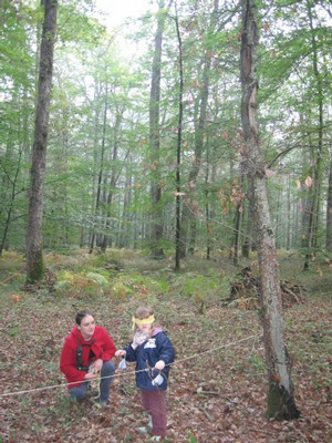 PS-MS-Foret Vouille (23).JPG