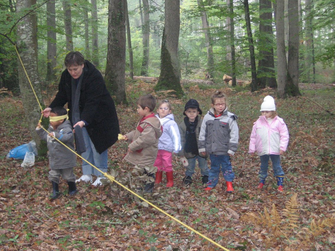 PS-MS-Foret Vouille (24).JPG