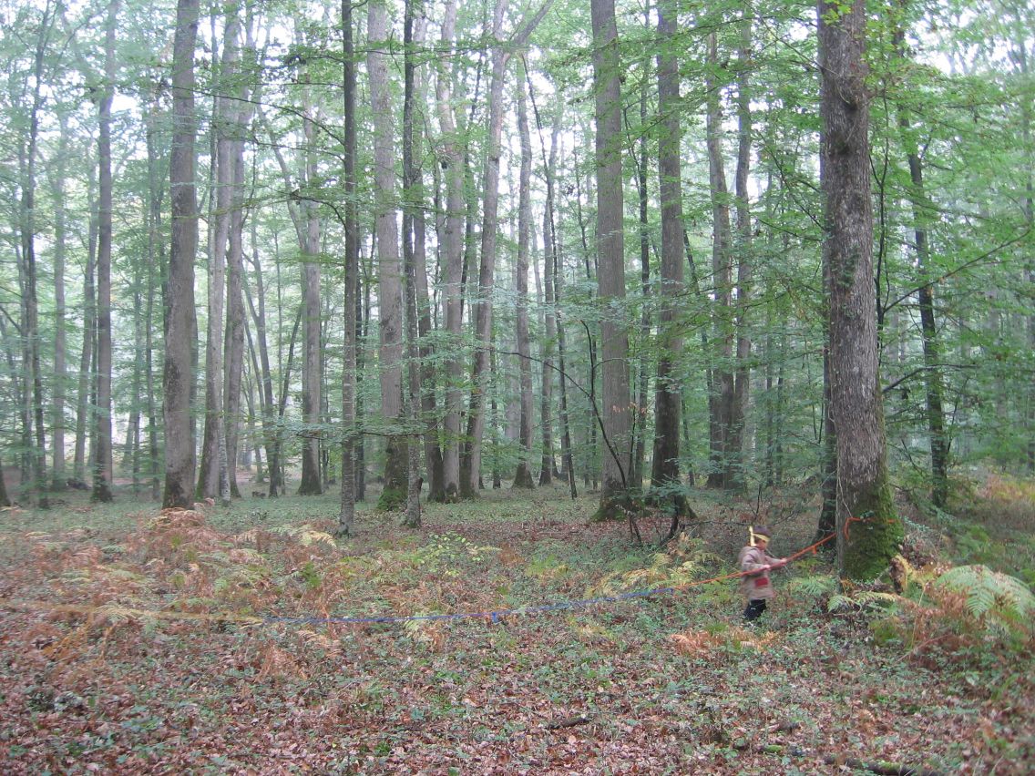PS-MS-Foret Vouille (25).JPG