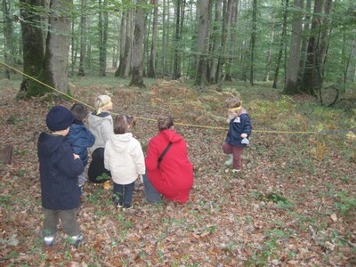 PS-MS-Foret Vouille (30).JPG