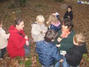 PS-MS-Foret Vouille (32).JPG