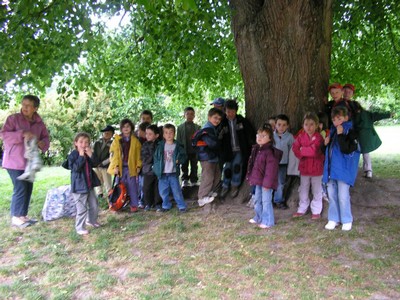 P1010009.JPG