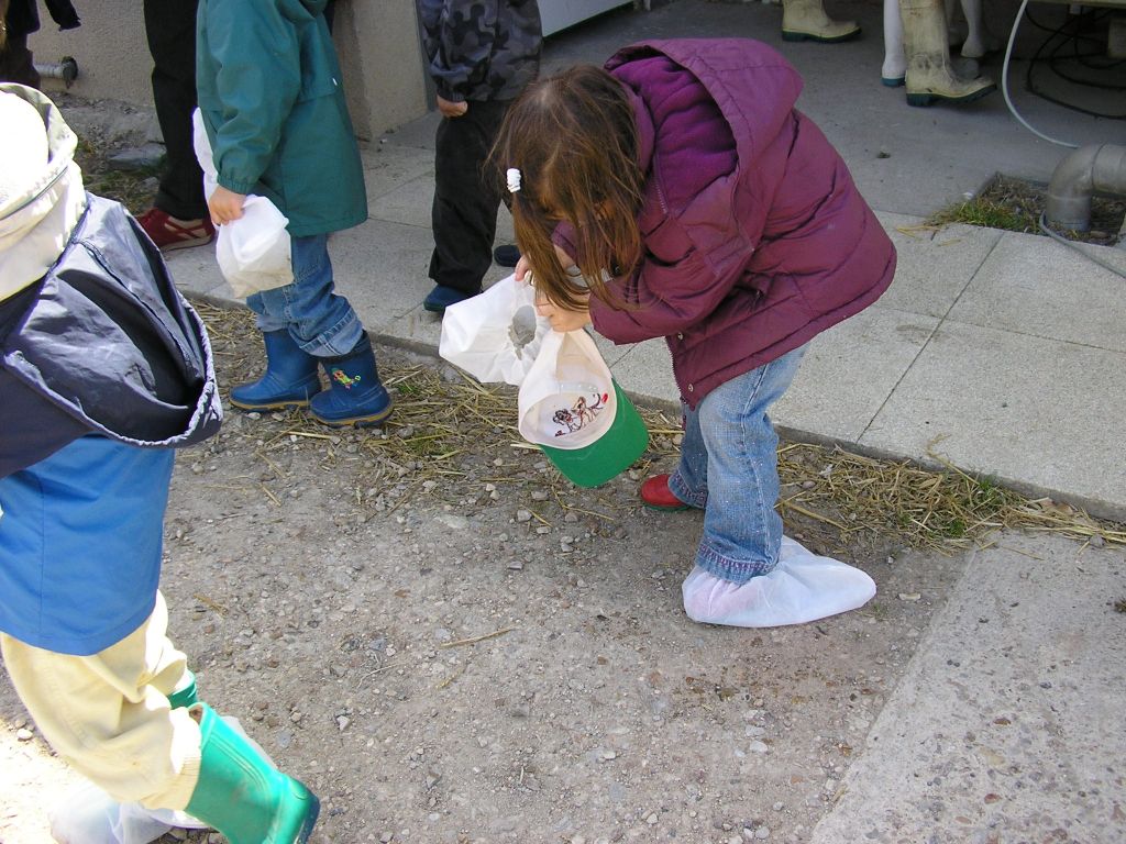 P1010025.JPG
