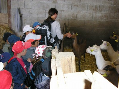 P1010032.JPG