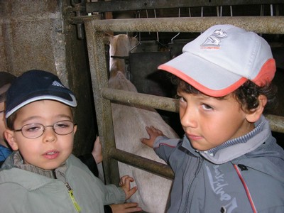 P1010037.JPG