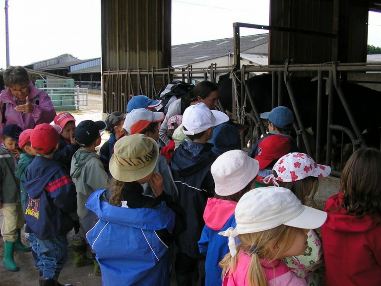 P1010041.JPG