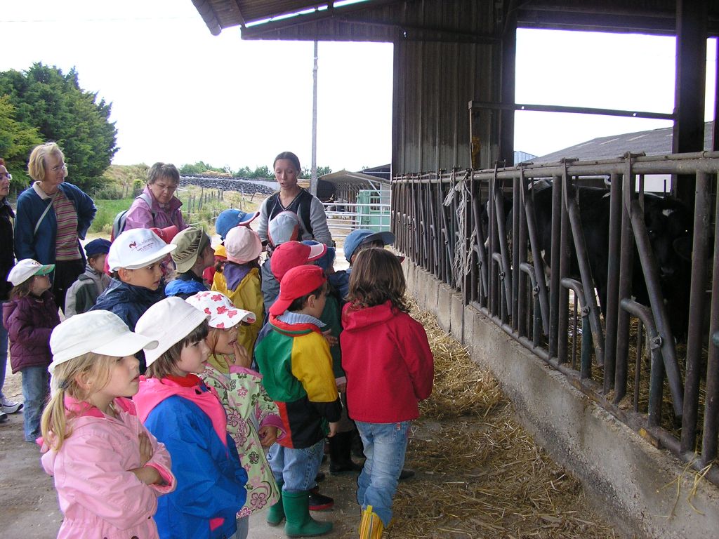 P1010042.JPG