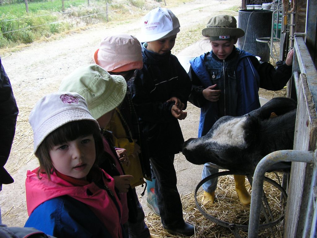 P1010052.JPG