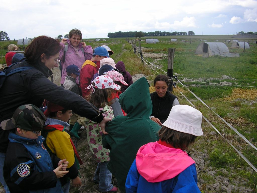 P1010069.JPG