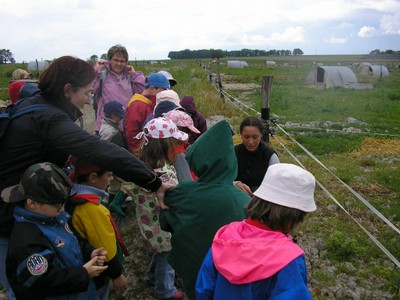 P1010069.JPG