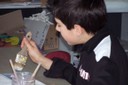 100_3706.JPG