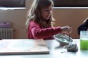 100_4184.JPG