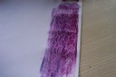 100_4211.JPG