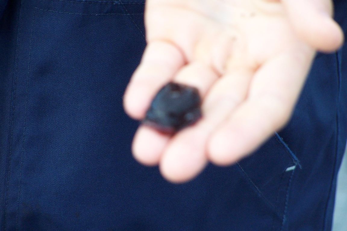100_2511.JPG