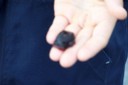 100_2511.JPG