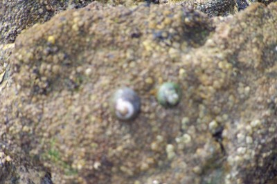 100_2514.JPG