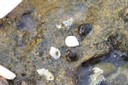 100_2517.JPG