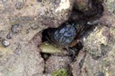 100_2518.JPG