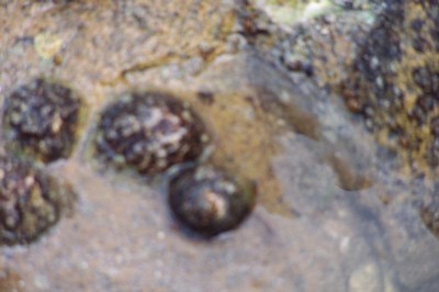 100_2523.JPG