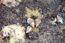 100_2525.JPG