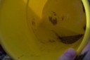 100_2526.JPG