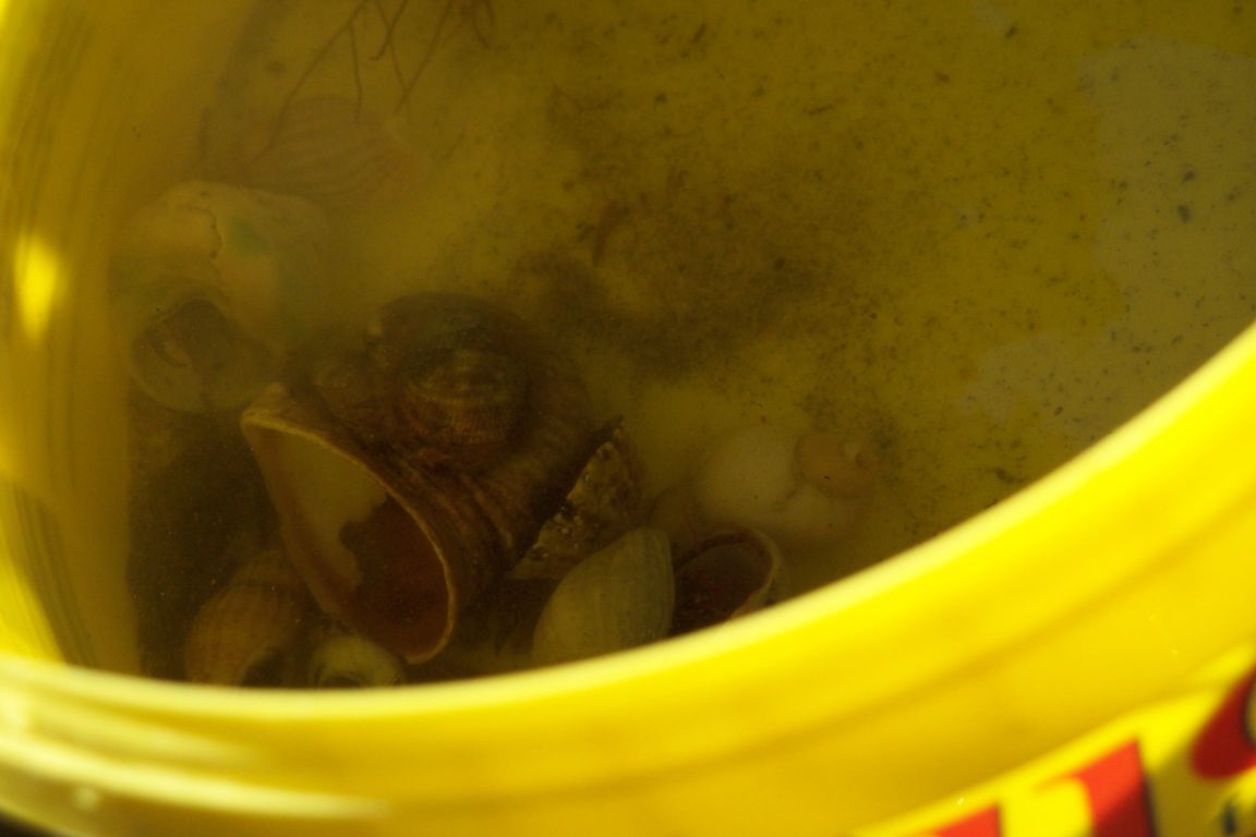100_2532.JPG