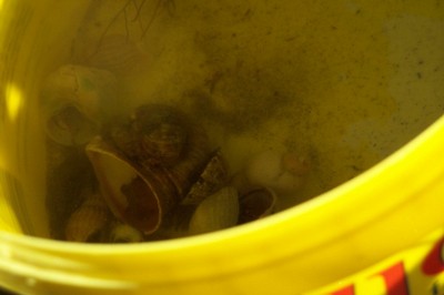 100_2532.JPG