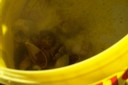 100_2532.JPG